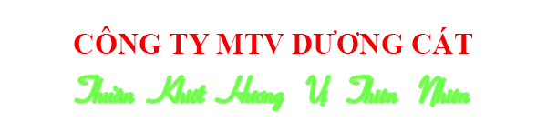 Dương Cát banner