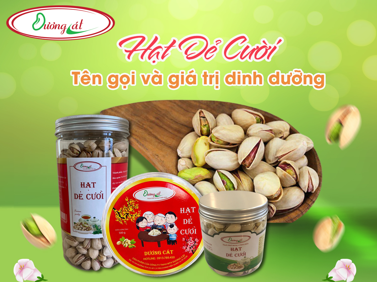 Hat De Cuoi ten goi va gia tri dinh duong