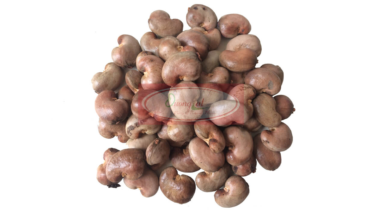 HẠT ĐIỀU THÔ 2 Phoi 1