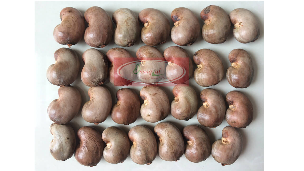 HẠT ĐIỀU THÔ 5 Phoi 5