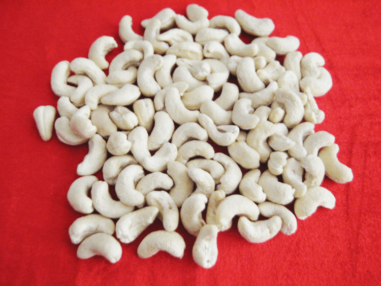 HẠT ĐIỀU NHÂN WW450 - GIÁ: 2.75 USD/LB FOB HCMC