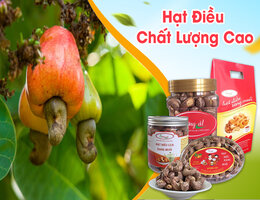 hat dieu tu nong san dia phuong den hang xuat khau1698652087