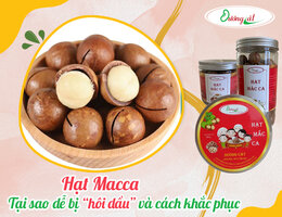 tai sao hat macca de bi hoi dau va cach khac phuc1686366345